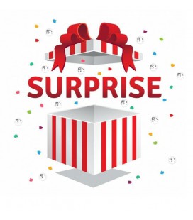 Cadeau SURPRISE-